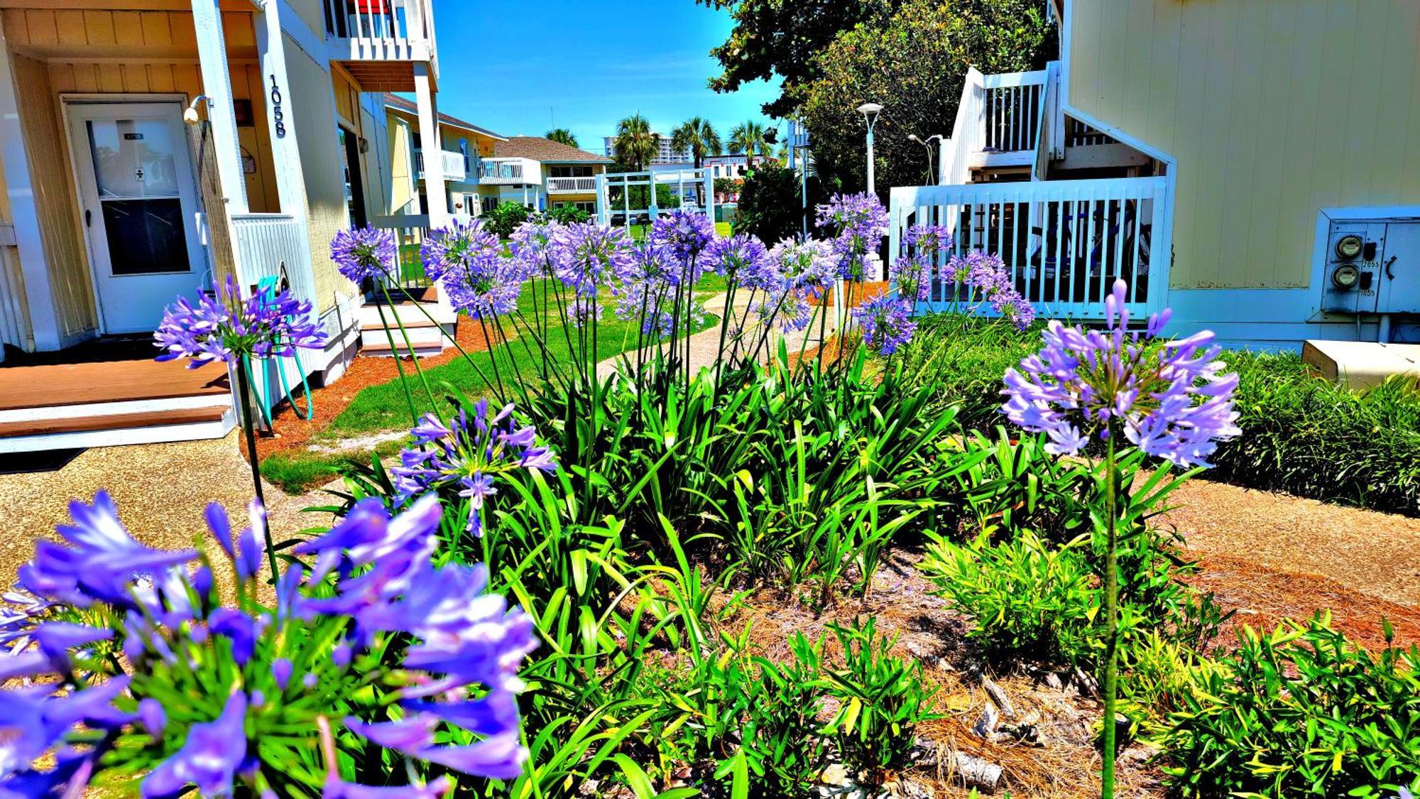 Boathouse Condo, Downtown Destin Harbor, Private Beach Access, Waterfront, On Golf Course, Water Taxi Pickup المظهر الخارجي الصورة